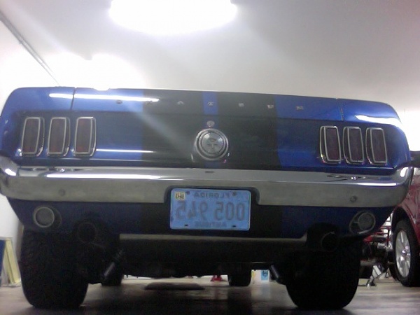 Mustang 5.jpg