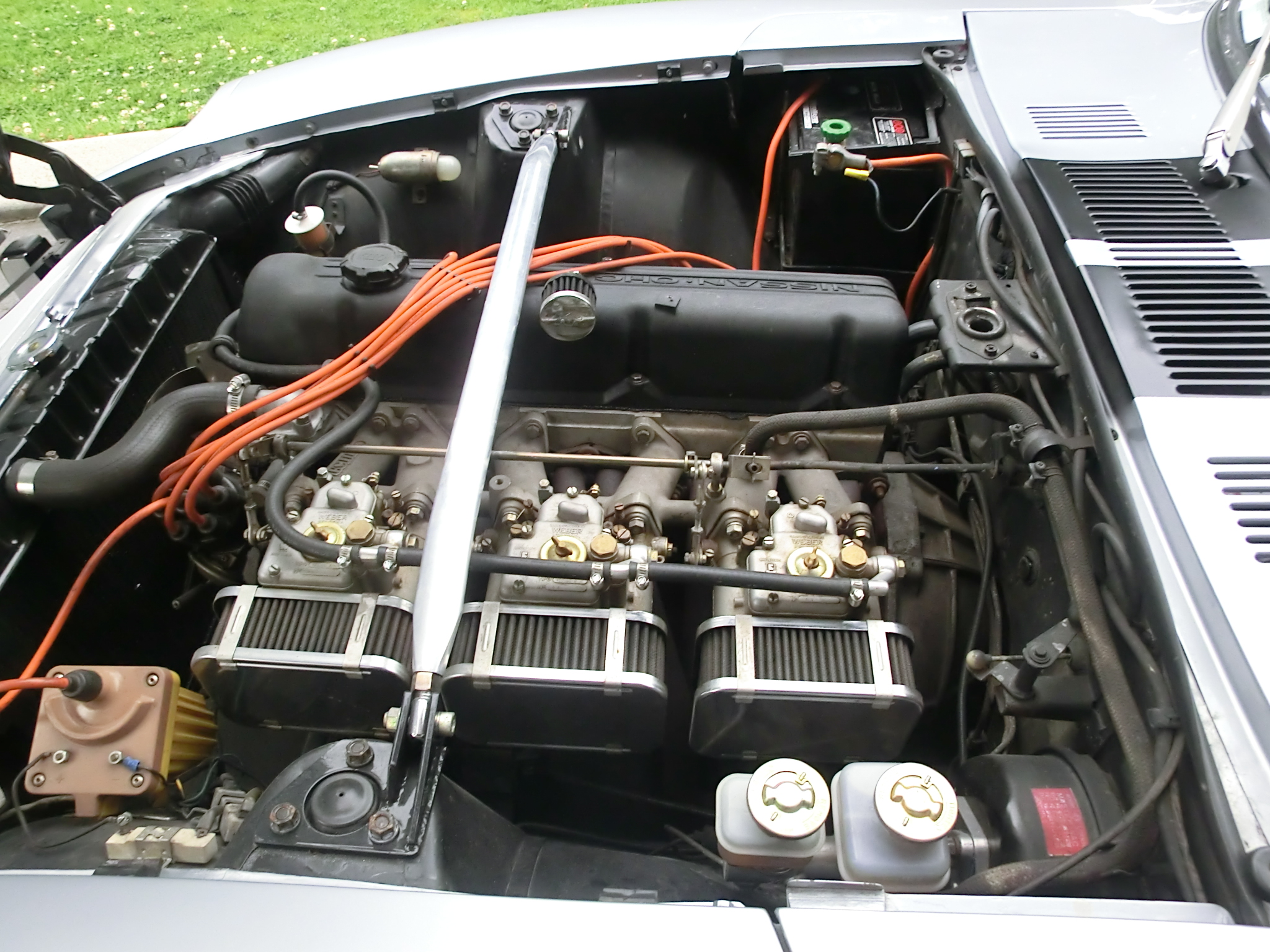 CIMG0501.JPG