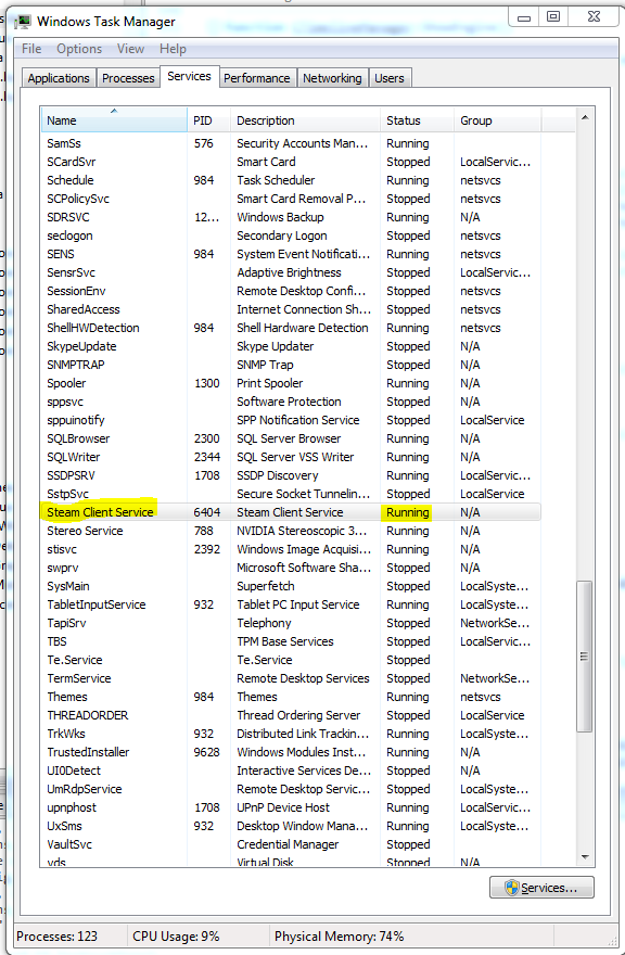 SteamService.PNG