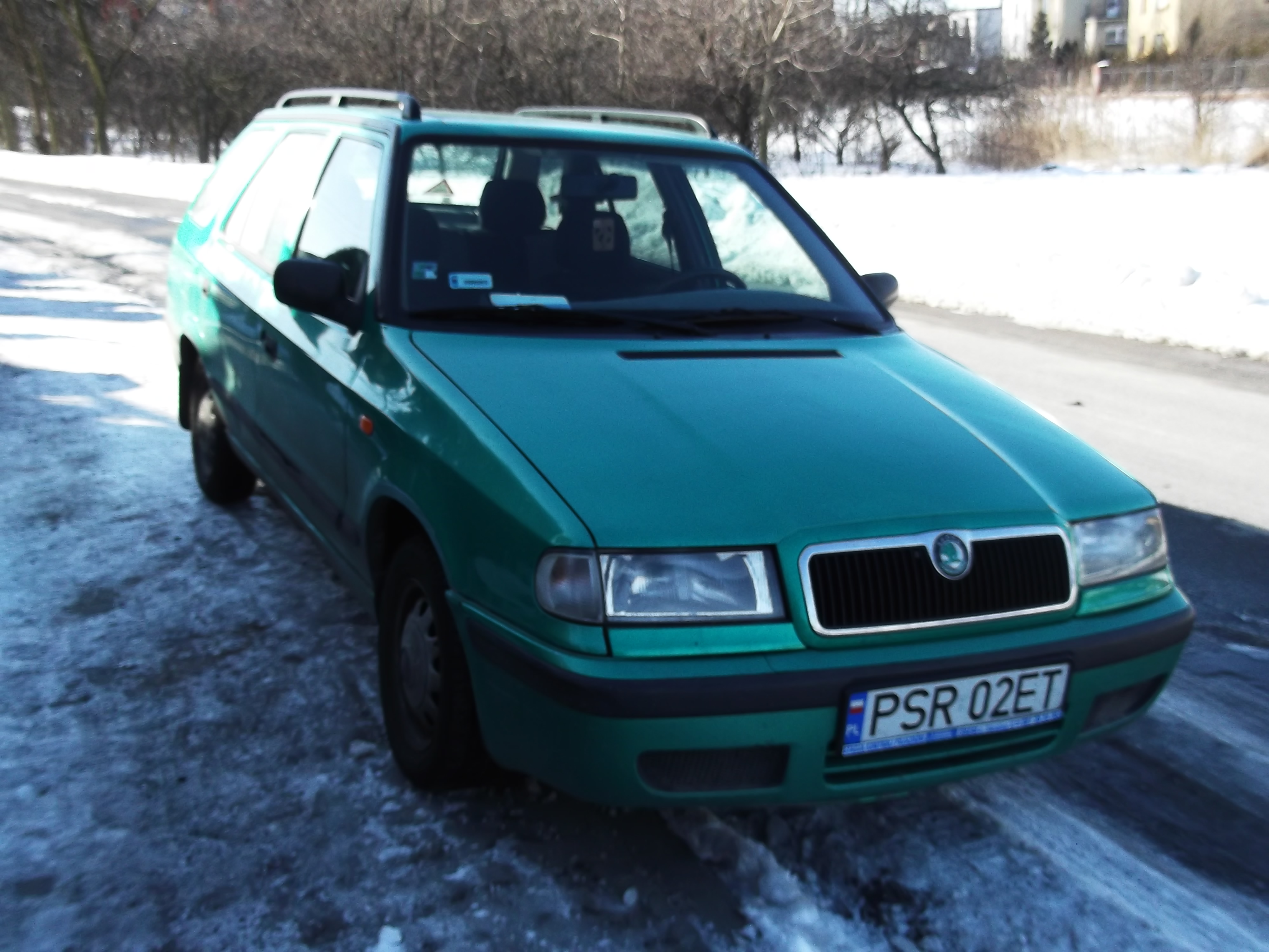 DSCF1341.JPG