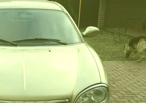 daewoo_lasagna.jpg