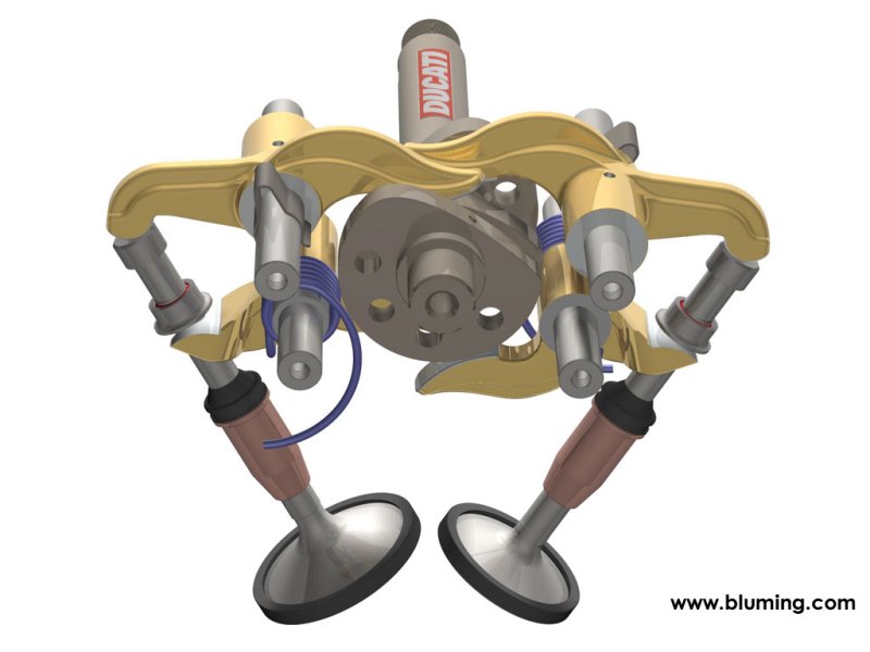 desmo2.jpg
