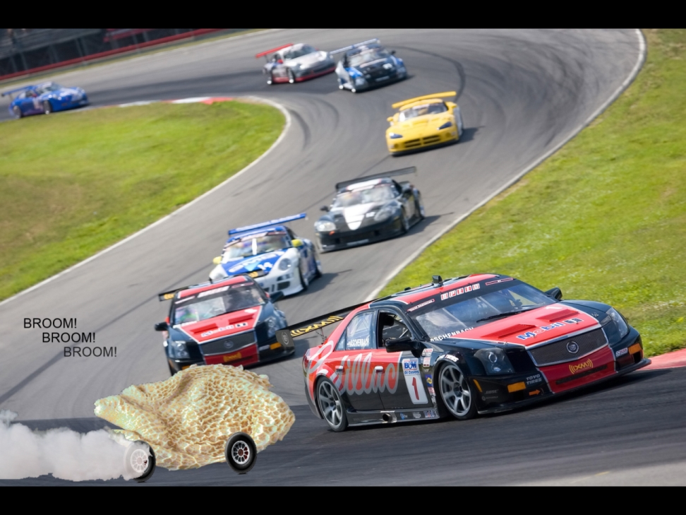 Racing-Sports-Cars-HD-Wallpaper.jpg