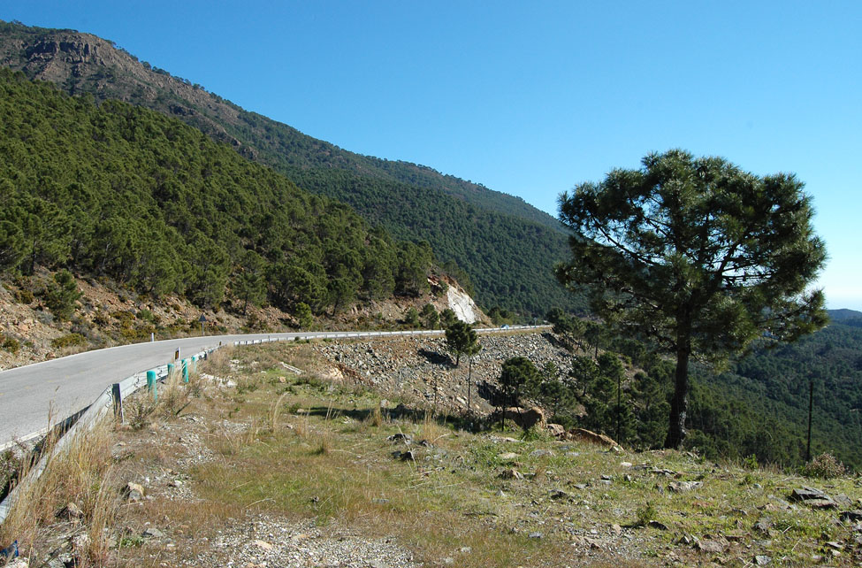 mountainroad1.jpg