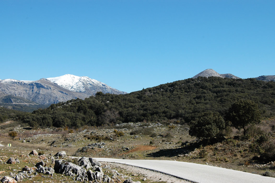 mountainroad2.jpg