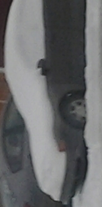 Snowy.png