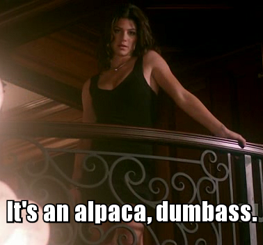 Alpaca.png