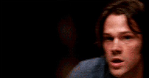 Moose Noises!.gif