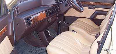 Jaguar.jpg