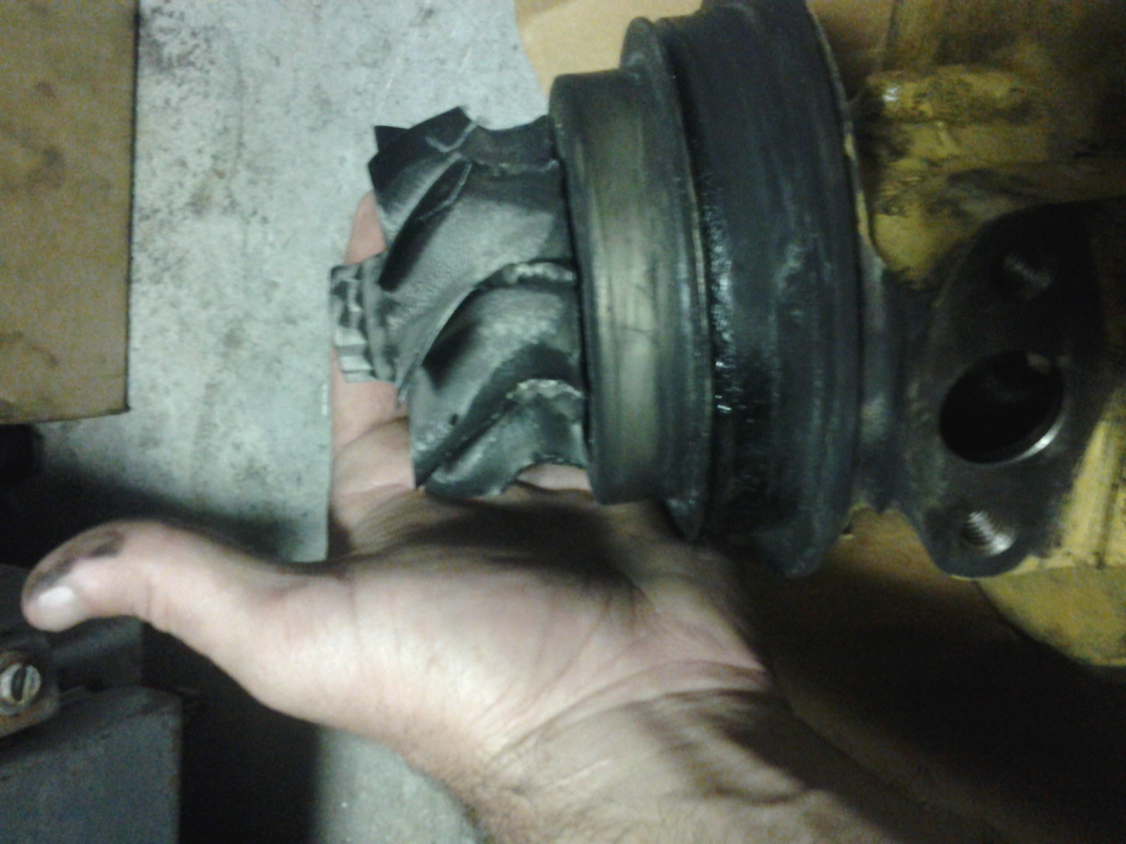 20141008_113951.jpg