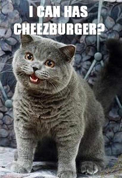 cheezburger.jpg